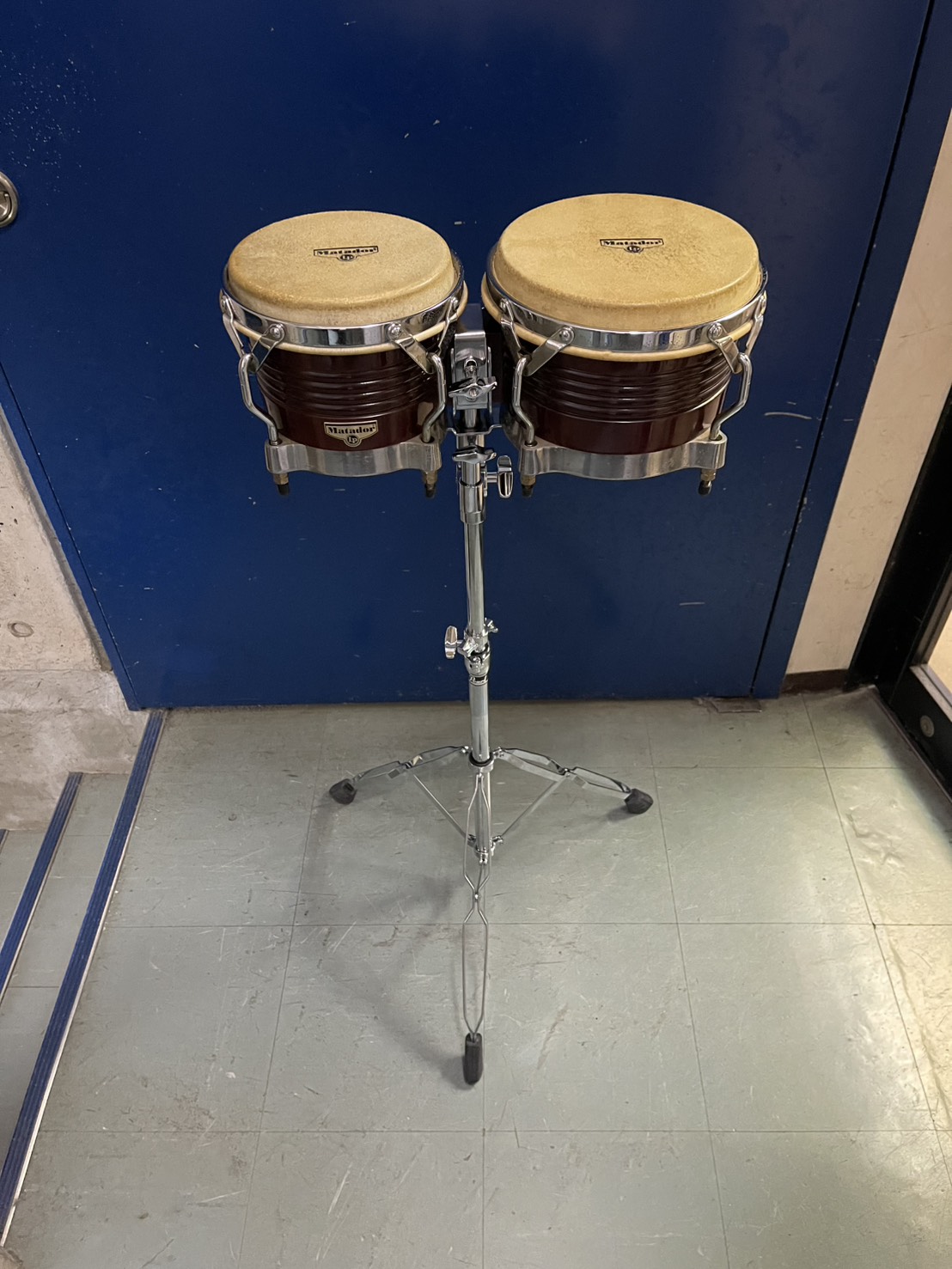 ボンゴスタンド